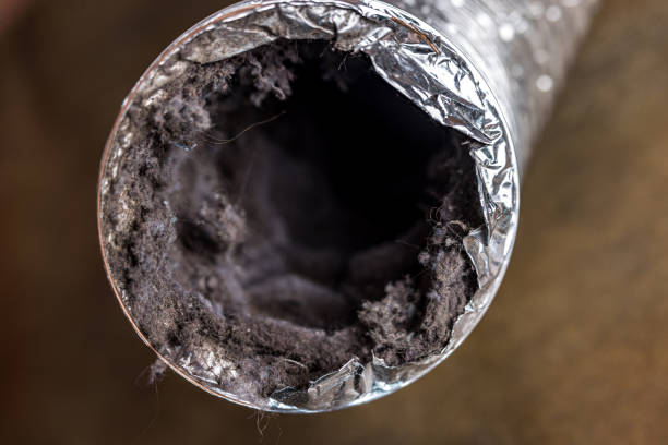 Best Air Duct Cleaning Near Me  in Bowling Green, VA